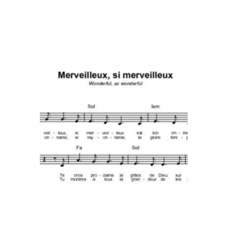 Merveilleux, si merveilleux - Tim Hughes