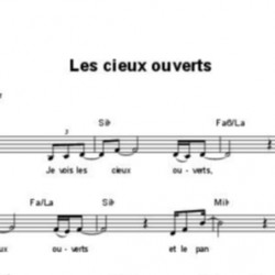 Les cieux ouverts - Samuel Olivier