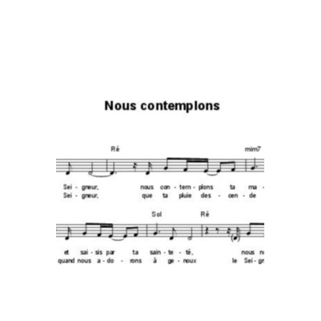 Nous contemplons - Bruno Laffitte