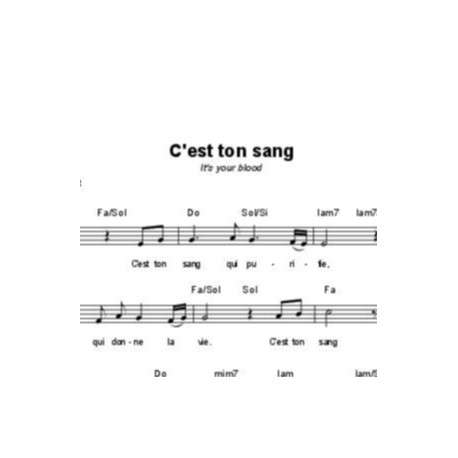 C'est ton sang - Michael Christ