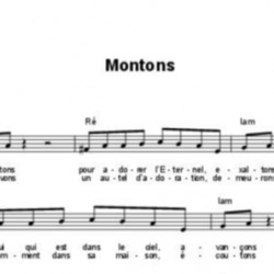 Montons - Bruno Laffitte