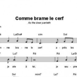 Comme brame le cerf - Martin Nystrom